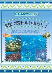 シリーズ・ヴィジアル図鑑 23 楽園に群れるお魚たち