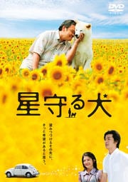 븤
