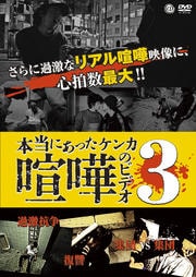 本当にあった喧嘩のビデオ 3