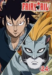 FAIRY TAIL 24