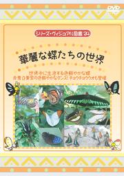 シリーズ・ヴィジアル図鑑 24 華麗な蝶たちの世界