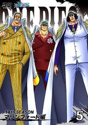 ONE PIECE ԡ 14th ޥե R-5