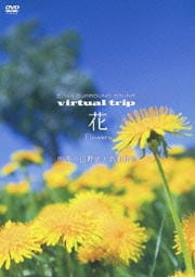 5.1ch SURROUND SOUND virtual trip 花 Flowers 四季の山野草と高山植物