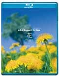 Blu-rayvirtual trip  Flowers ͵λȹ⻳ʪ