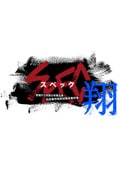 SPEC〜翔〜 警視庁公安部公安第五課 未詳事件特別対策係事件簿 ディレクターズカット版