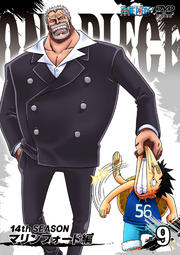 ONE PIECE ԡ 14th ޥե R-9