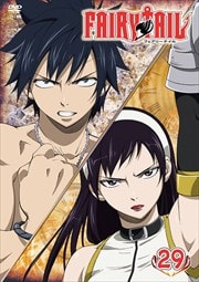 FAIRY TAIL 29