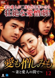 愛も憎しみも〜妻と愛人の間で〜 Vol.12