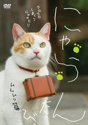 ˤ  