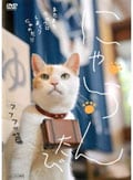 にゃらん たび フフフッ篇