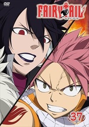 FAIRY TAIL 37