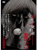 本当の心霊動画「影」 5