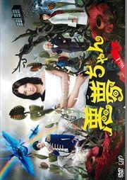 ̴ Vol.1
