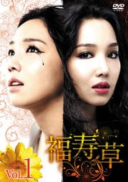 福寿草セット1