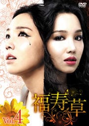 福寿草 Vol.4