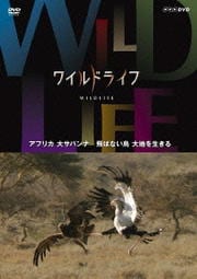 ワイルドライフ アフリカ大サバンナ 飛ばない鳥 大地を生きる