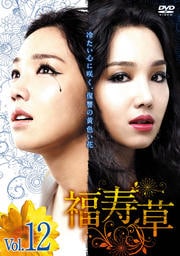 福寿草 Vol.12