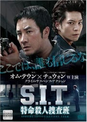 S.I.T. ̿ܺ