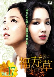 福寿草 Vol.17