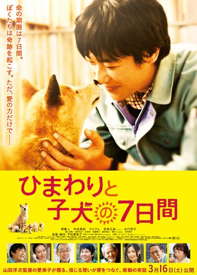 ひまわりと子犬の7日間 堺雅人 映画の宅配dvdレンタルならgeo ひまわりと子犬の7日間 堺雅人 映画の宅配dvdレンタルならgeo