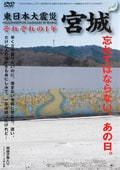東日本大震災 宮城 それぞれの1年