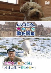 『ムツゴロウのゆかいな動物図鑑』シリーズ 「 小型犬の魅力と謎」「オオカミ 〜野生の心〜」