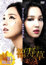福寿草 Vol.19