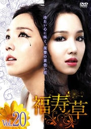 福寿草 Vol.20