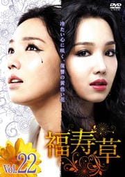 福寿草 Vol.22