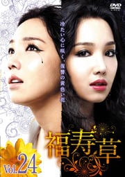 福寿草 Vol.24