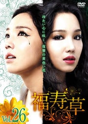 福寿草 Vol.26