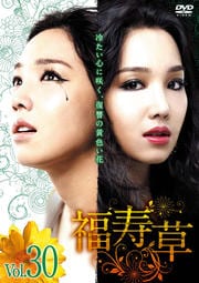 福寿草 Vol.30
