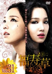 福寿草 Vol.31