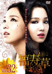福寿草 Vol.32