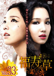 福寿草 Vol.33