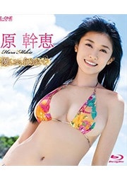 Blu-ray۸áͥޤ