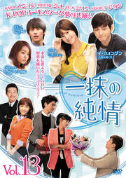 一抹の純情 Vol.13