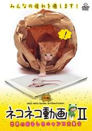 ネコネコ動画 〜世界のおもしろニャンコ大集合〜 II