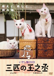 いやし猫DVD 猫侍 三匹の玉之丞