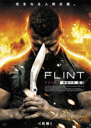 FLINT ե ̵Ũˡ 