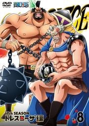 ONE PIECE ワンピース 17thシーズン ドレスローザ編 R-8