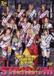  5STAR GP 2014 Disc.2