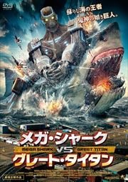 ᥬ㡼VS졼ȡ