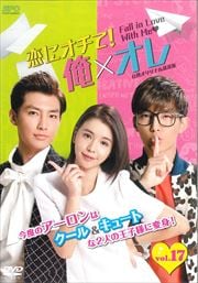˥ơߥ ѥꥸʥǡ Vol.17
