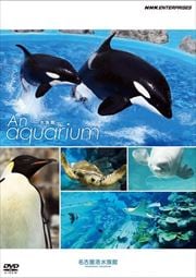 An Aquarium -²- ̾Ų²