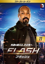 THE FLASHեå եȡ Vol.11