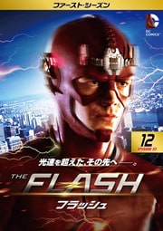 THE FLASHեå եȡ Vol.12