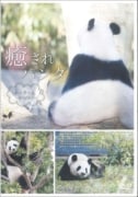 ファインディング ベイビー パンダ くしゃみパンダを探せ アンバー クレイトン 映画の宅配dvdレンタルならgeo