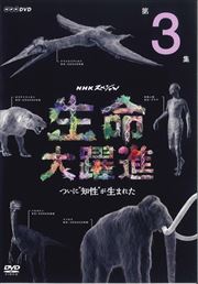 NHKڥ ̿ 3