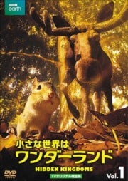 ϥ TVꥸʥ봰 vol.1